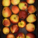 A bowl of red and yellow apples in a bowl of water, seen from above.